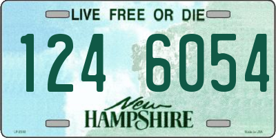 NH license plate 1246054