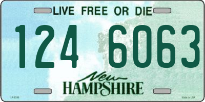 NH license plate 1246063