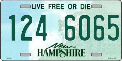 NH license plate 1246065