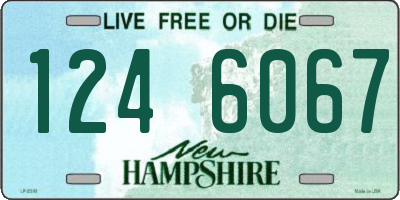 NH license plate 1246067