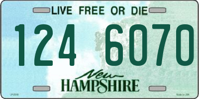 NH license plate 1246070