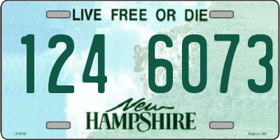 NH license plate 1246073