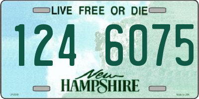 NH license plate 1246075