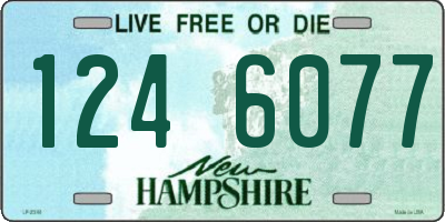 NH license plate 1246077