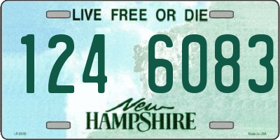 NH license plate 1246083