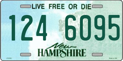 NH license plate 1246095