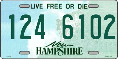 NH license plate 1246102