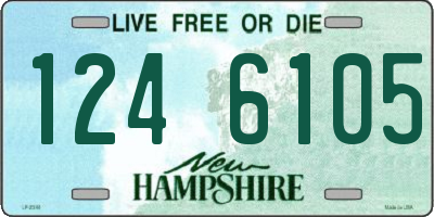 NH license plate 1246105