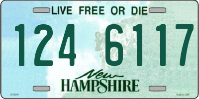 NH license plate 1246117