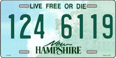 NH license plate 1246119