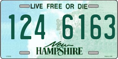 NH license plate 1246163