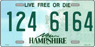 NH license plate 1246164