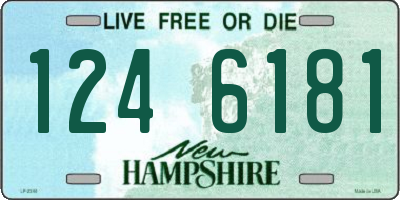 NH license plate 1246181