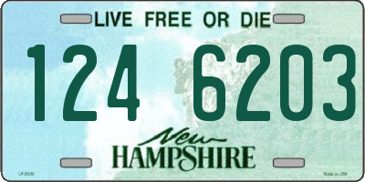 NH license plate 1246203
