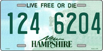 NH license plate 1246204