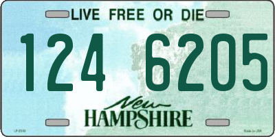 NH license plate 1246205