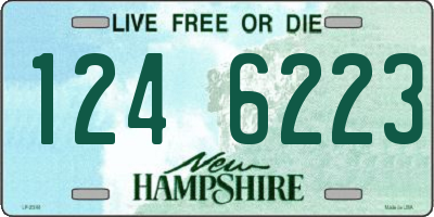 NH license plate 1246223