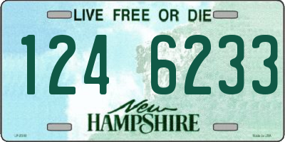 NH license plate 1246233