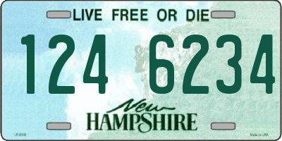 NH license plate 1246234