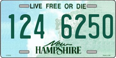 NH license plate 1246250