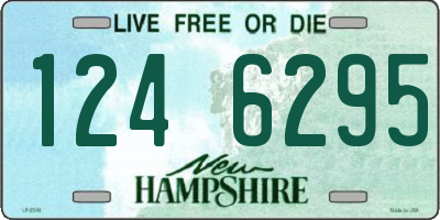 NH license plate 1246295