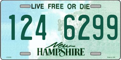 NH license plate 1246299