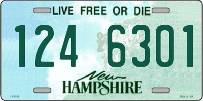 NH license plate 1246301