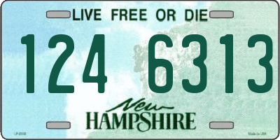 NH license plate 1246313