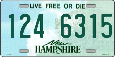 NH license plate 1246315