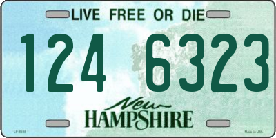 NH license plate 1246323