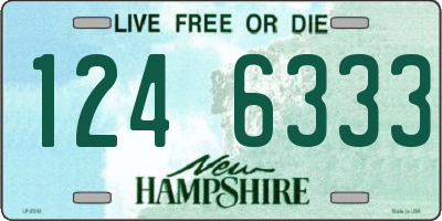NH license plate 1246333