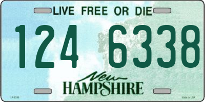 NH license plate 1246338