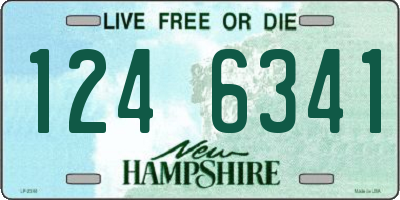 NH license plate 1246341
