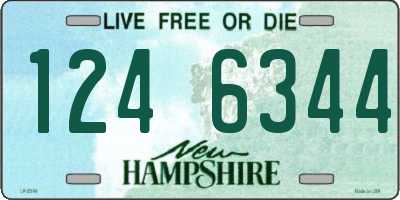 NH license plate 1246344