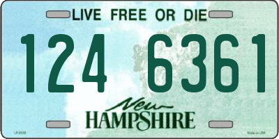 NH license plate 1246361