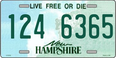 NH license plate 1246365