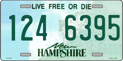 NH license plate 1246395