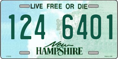 NH license plate 1246401