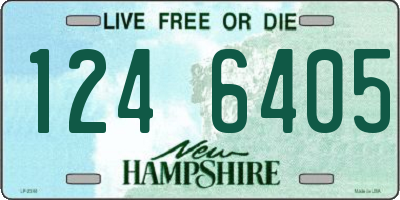 NH license plate 1246405
