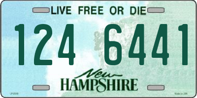 NH license plate 1246441