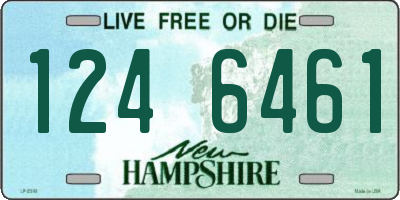 NH license plate 1246461