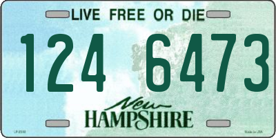 NH license plate 1246473
