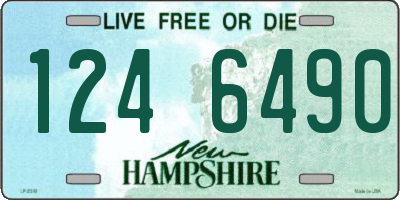 NH license plate 1246490