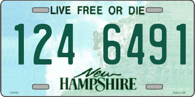 NH license plate 1246491