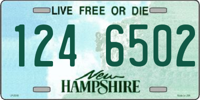 NH license plate 1246502