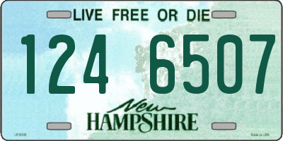 NH license plate 1246507
