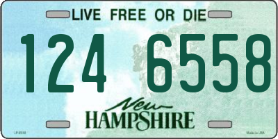 NH license plate 1246558