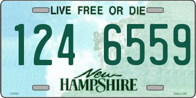 NH license plate 1246559