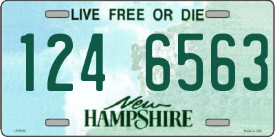 NH license plate 1246563