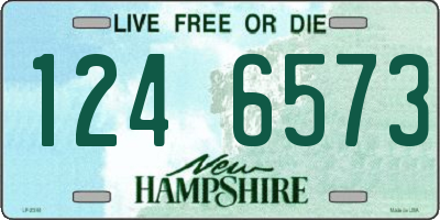 NH license plate 1246573